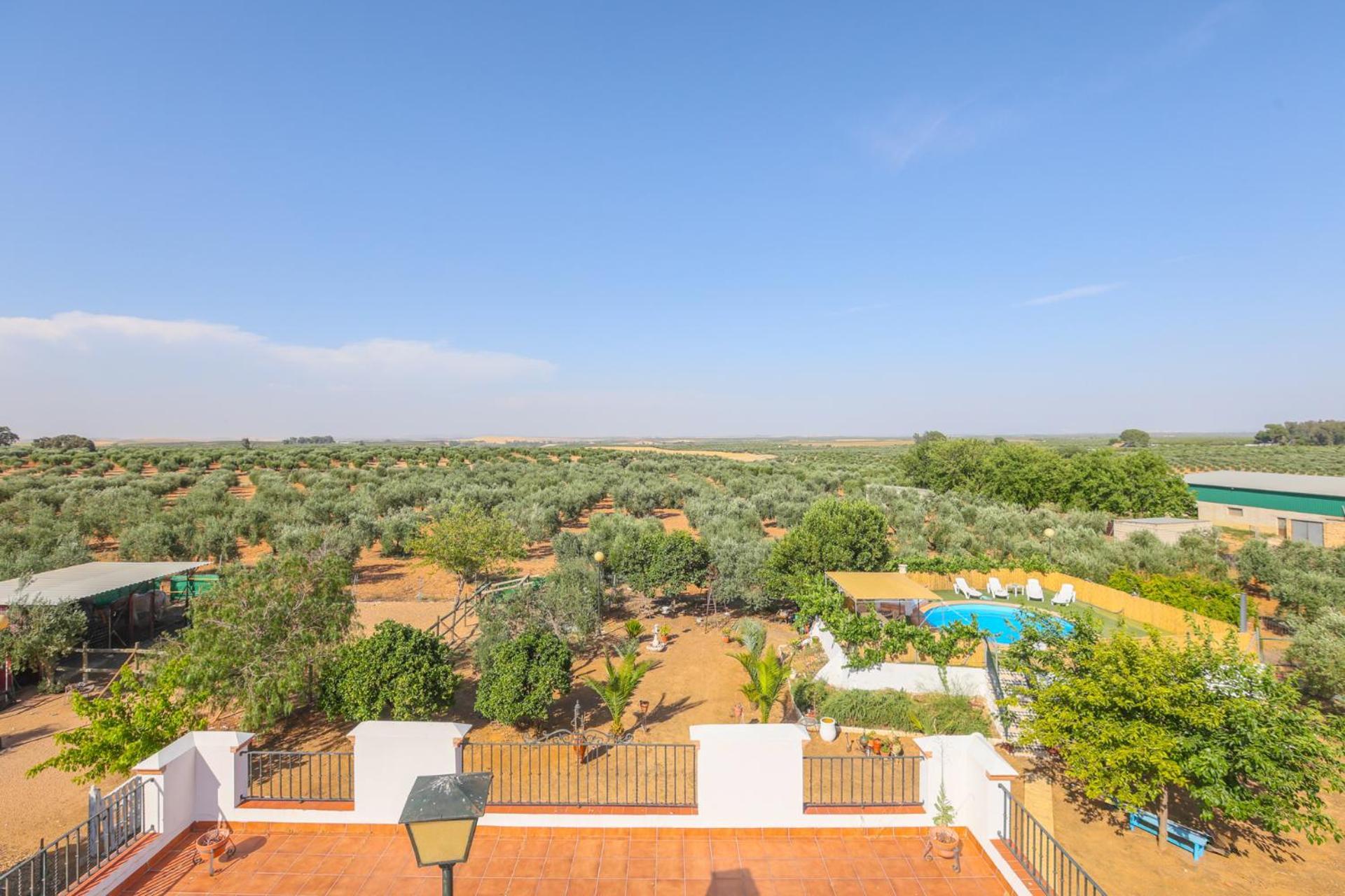 מרצ'נה Casa Rural Los Miradores מראה חיצוני תמונה
